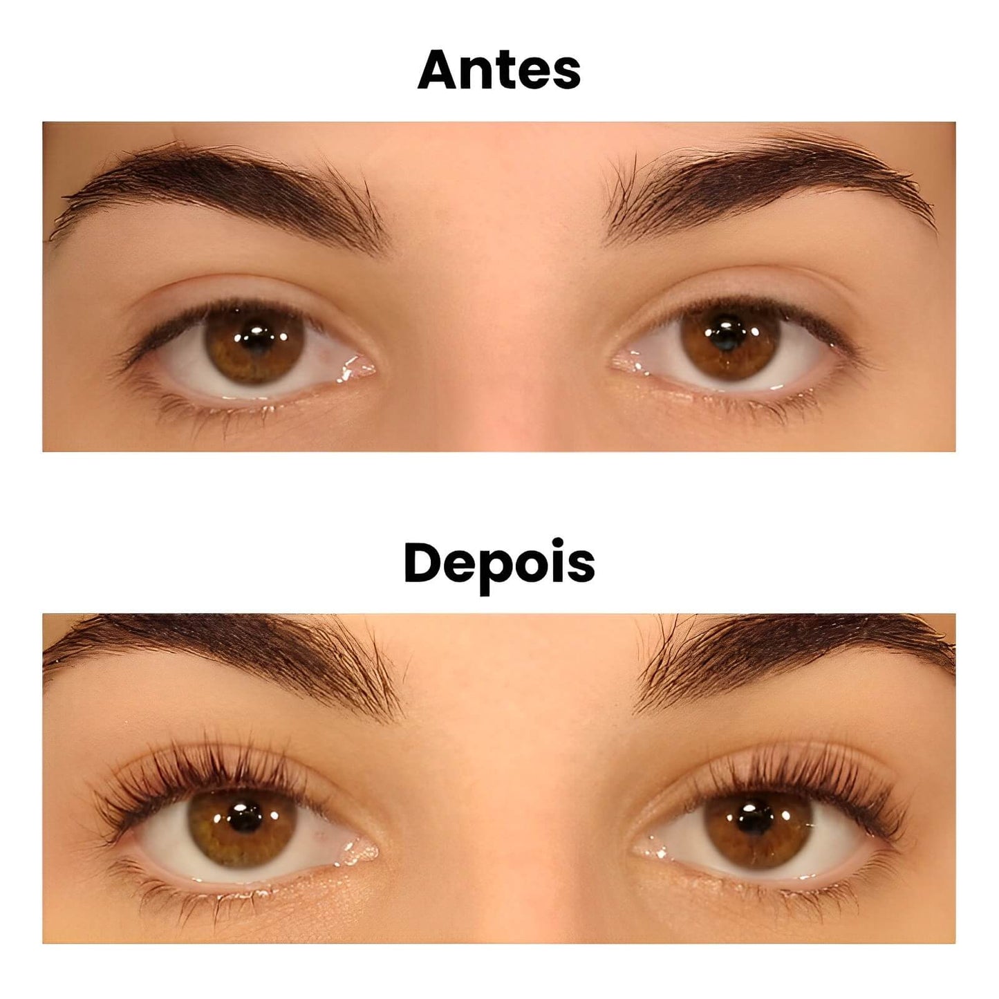 LashLux